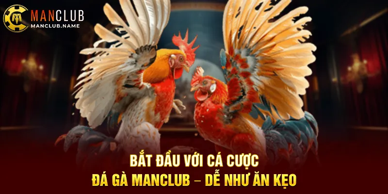Bắt Đầu Với Cá Cược Đá Gà ManClub – Dễ Như Ăn Kẹo
