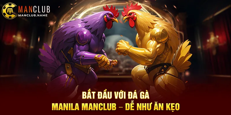 Bắt Đầu Với Đá Gà Manila ManClub – Dễ Như Ăn Kẹo