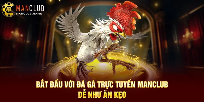 Bắt Đầu Với Đá Gà Trực Tuyến ManClub – Dễ Như Ăn Kẹo