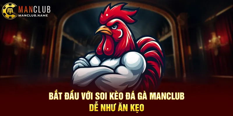 Bắt Đầu Với Soi Kèo Đá Gà ManClub – Dễ Như Ăn Kẹo