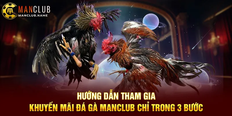 Hướng Dẫn Tham Gia Khuyến Mãi Đá Gà ManClub Chỉ Trong 3 Bước