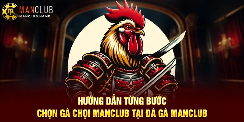 Hướng Dẫn Từng Bước Chọn Gà Chọi ManClub Tại Đá Gà ManClub
