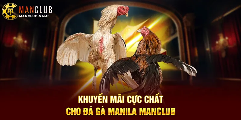 Khuyến Mãi Cực Chất Cho Đá Gà Manila ManClub