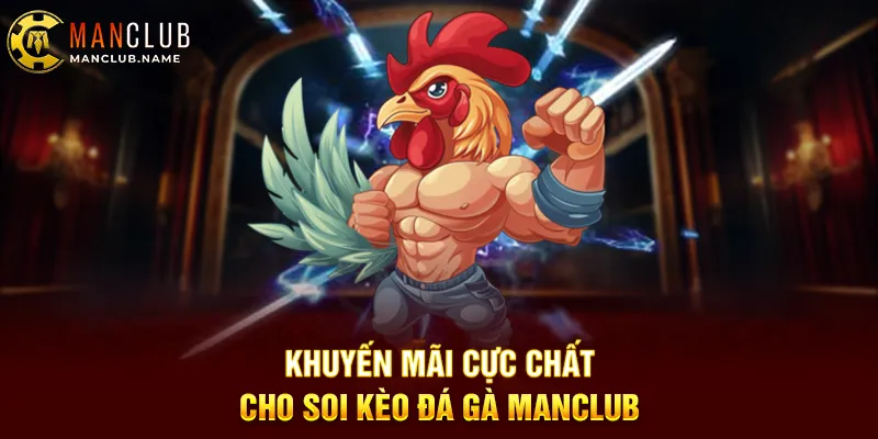 Khuyến Mãi Cực Chất Cho Soi Kèo Đá Gà ManClub
