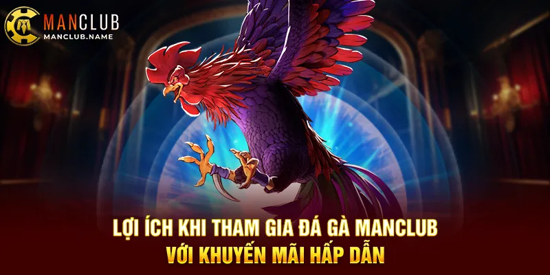 Lợi Ích Khi Tham Gia Đá Gà ManClub Với Khuyến Mãi Hấp Dẫn