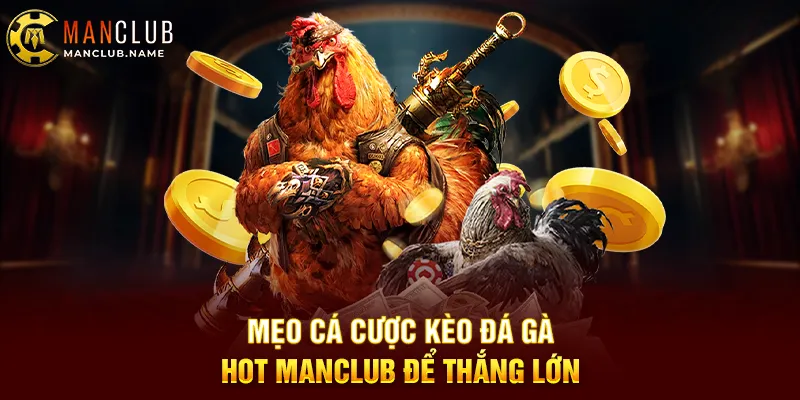 Mẹo Cá Cược Kèo Đá Gà Hot ManClub Để Thắng Lớn