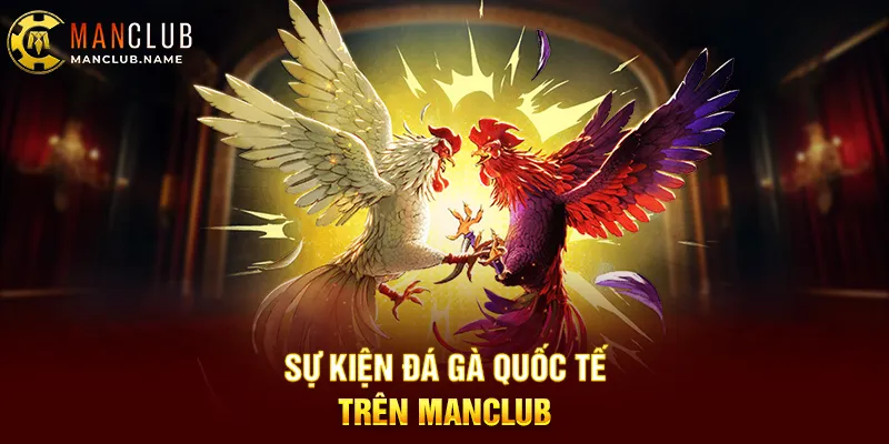 Sự Kiện Đá Gà Quốc Tế Trên ManClub