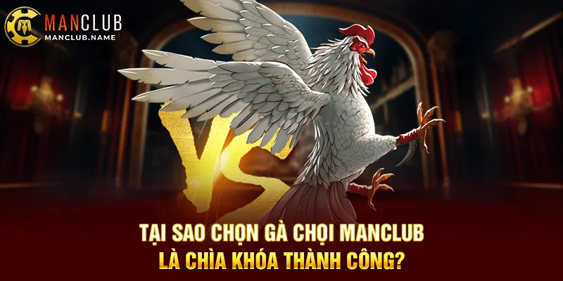Tại Sao Chọn Gà Chọi ManClub Là Chìa Khóa Thành Công?