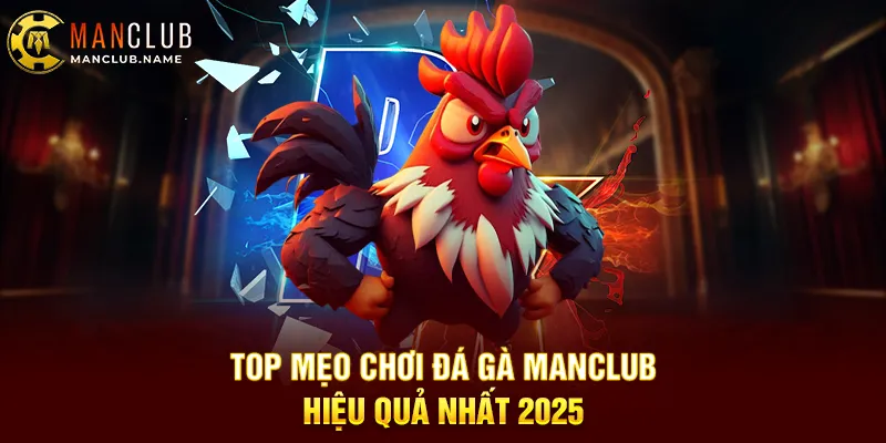 Top Mẹo Chơi Đá Gà ManClub Hiệu Quả Nhất 2025